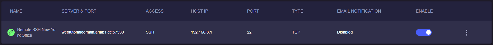 server&port