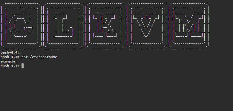 verify hostname