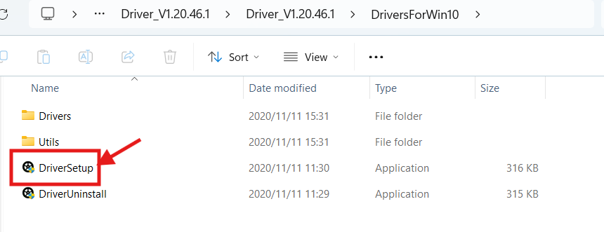 driver-1