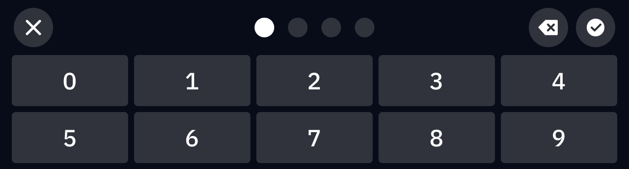 screen password