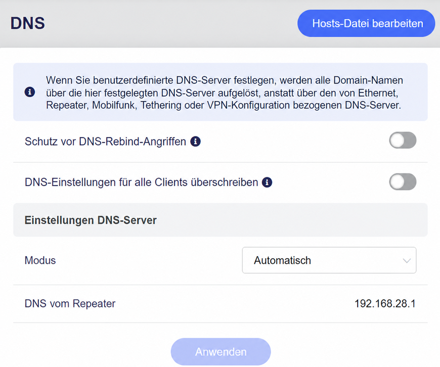 dns rebinding attack protection