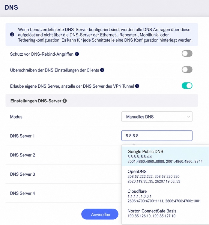 manual dns