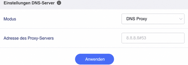 dns proxy