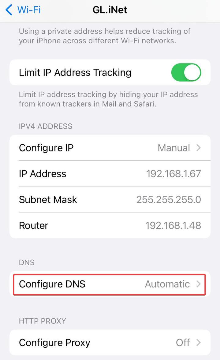 wifi dns