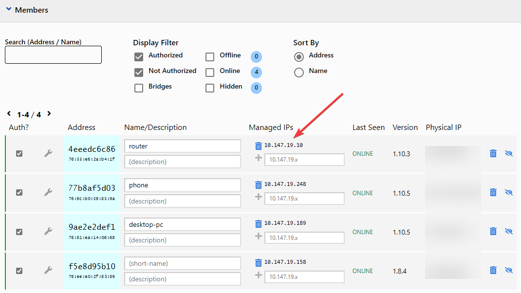 zerotier managed ip
