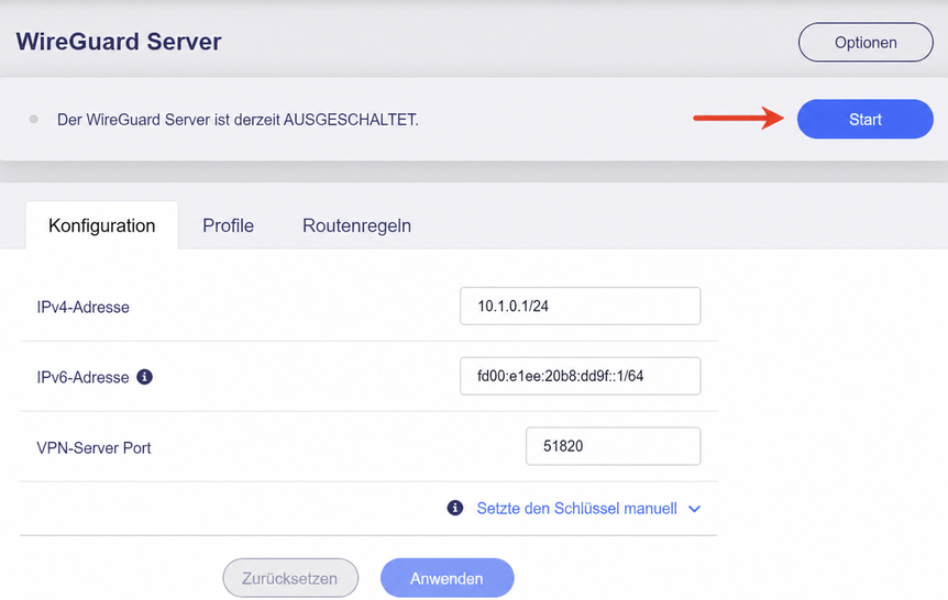 start server