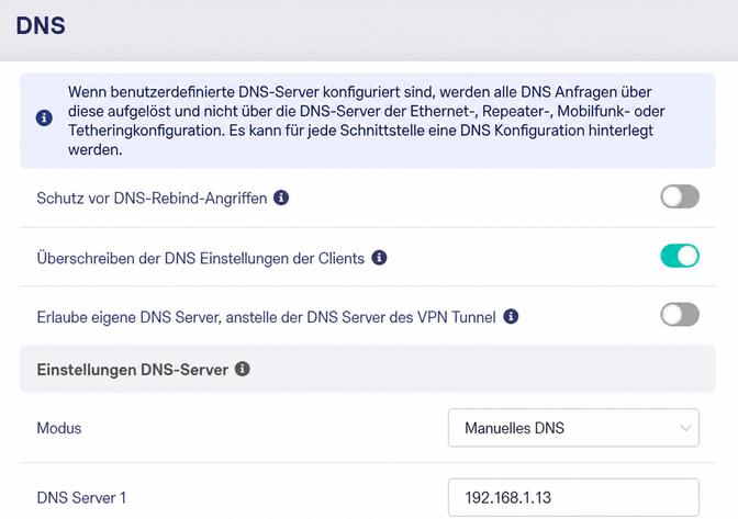 manual dns