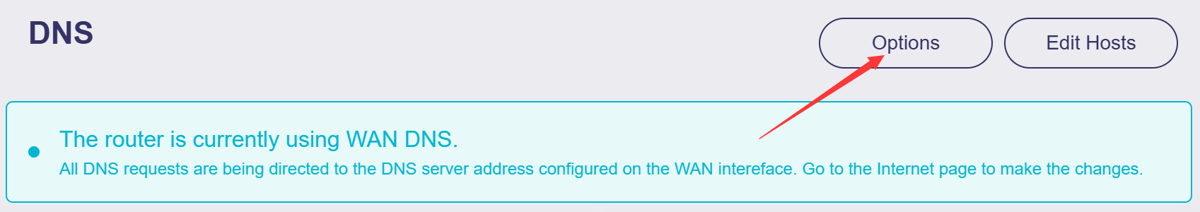 dns options 1