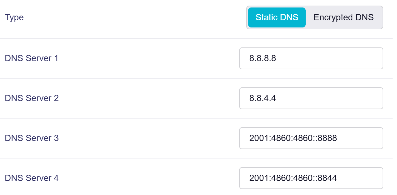 static dns 1