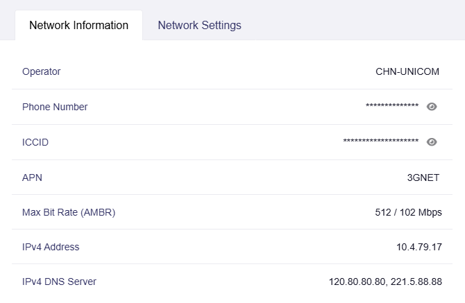 network info