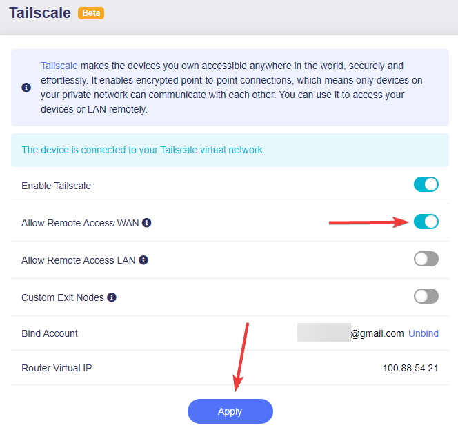 enable remote access wan