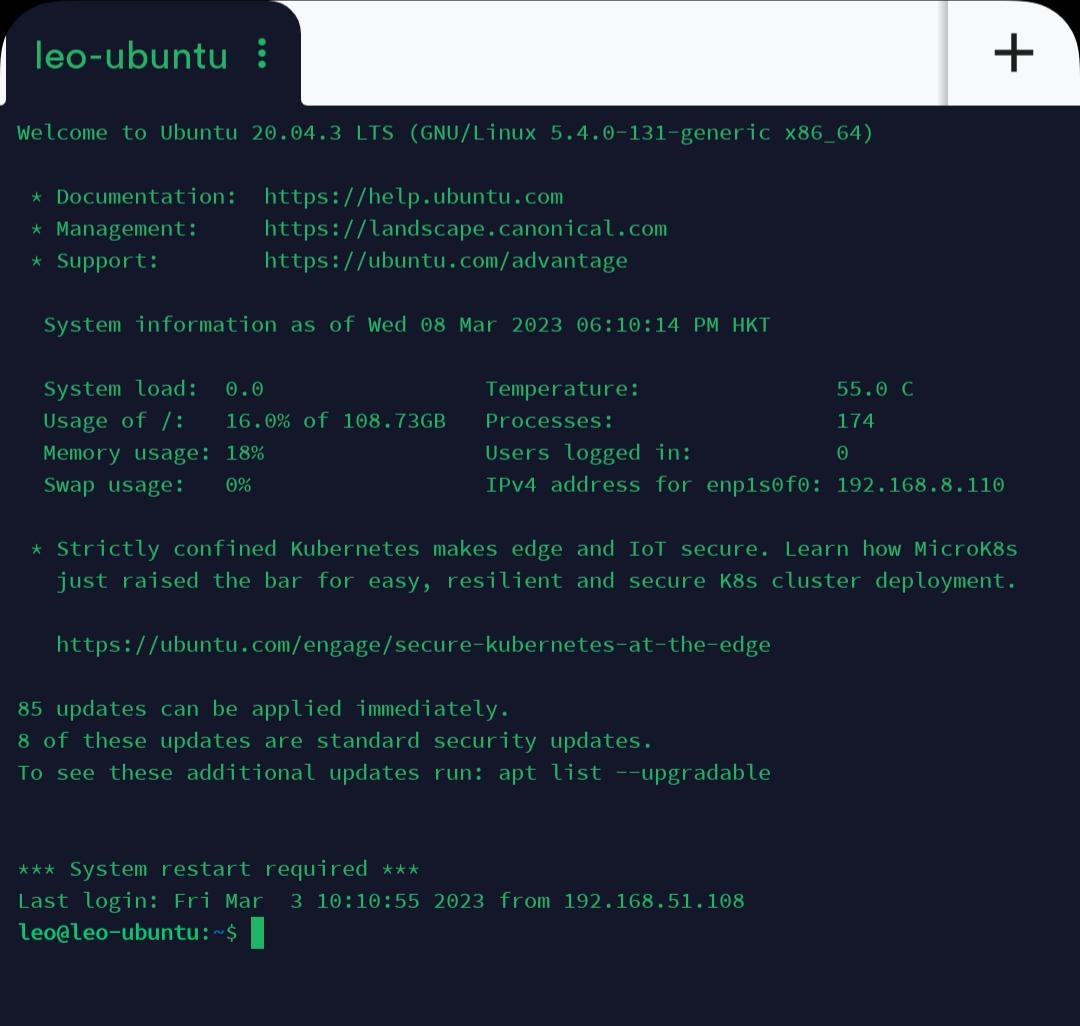 tailscale access ubuntu
