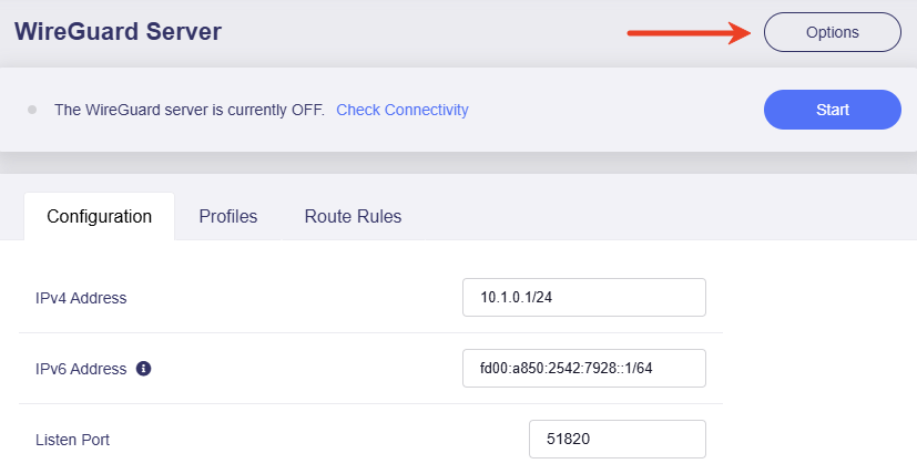 wgserver options
