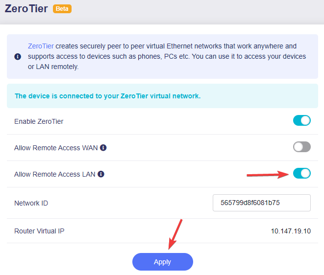 enable allow remote access lan