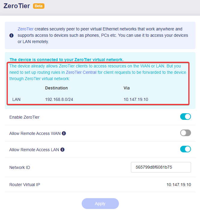 enable allow remote access lan