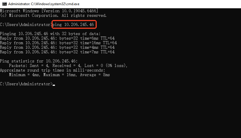 ping test