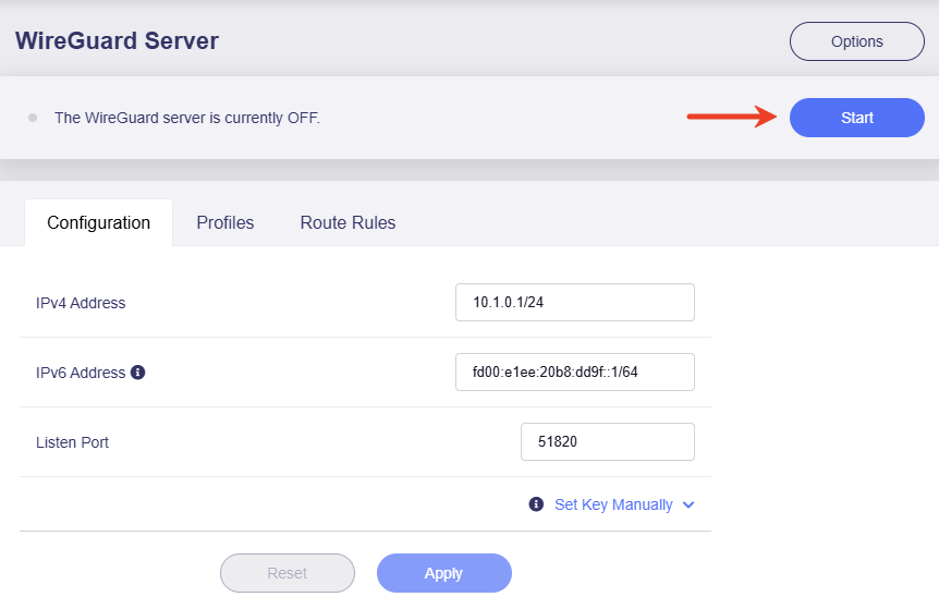 start server
