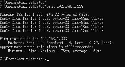 ping test