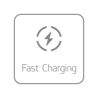 Fast Charging
