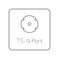 Dual TS-9 Ports