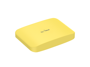 Mango 2